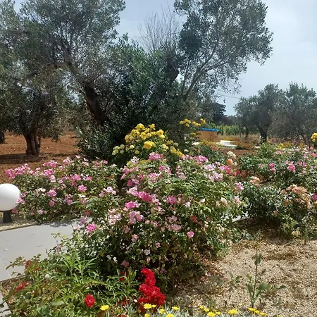 Zeituna A Porto Cesareo Hébergement de vacances *