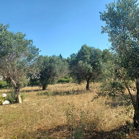 Semesterbostad Zeituna A Porto Cesareo
