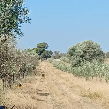 Zeituna A Porto Cesareo Semesterbostad *
