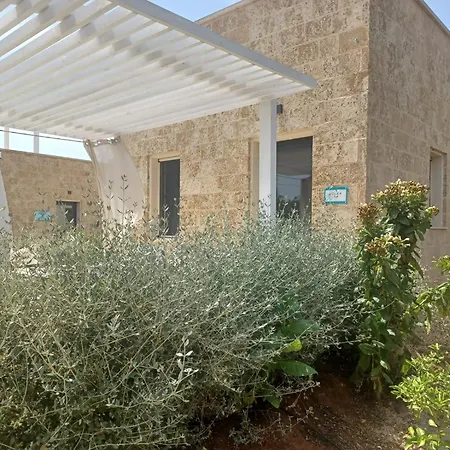 Zeituna A Porto Cesareo * Torre Lapillo